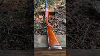 Check Out This Classic 410 Shotgun Bolt Action [upl. by Ariaz]