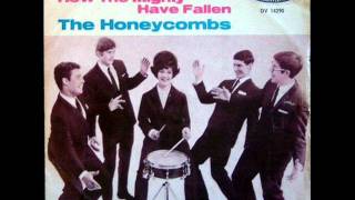 THE HONEYCOMBS UK COLOR SLIDE US Interphon 7716 1965 [upl. by Sedgewake319]