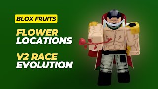 All Flower Locations amp V2 Race Evolution  Blox Fruits [upl. by Patrizius]