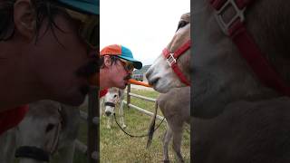 Can you tell Paddy O the difference between a burro donkey and mule burro [upl. by Shornick]