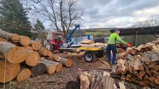 Binderberger Gigant mit IHC 323 Brennholz spalten [upl. by Yci887]