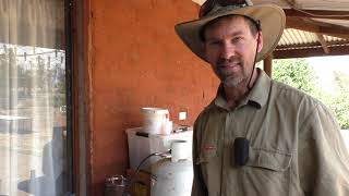 Cooking Yabbies in Australia Ep 35 Yabby cooking [upl. by Edelstein671]