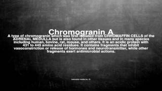 Medical vocabulary What does Chromogranin A mean [upl. by Mcgruter850]