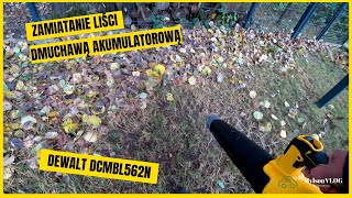 Zdmuchiwanie i usuwanie liści z trawnika dmuchawą akumulatorową 18V DeWalt DCMBL562N część 2 [upl. by Yreved]