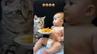 The ABSOLUTE CUTEST Cat and Baby Food Eating Duo [upl. by Anilac]