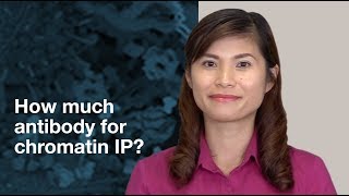 How much antibody should I use in Chromatin Immunoprecipitation ChIP assays  CST Tech Tips [upl. by Llenrahc]