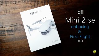 DJI Mini 2 Beginners Guide  Lets Fly [upl. by Florentia988]