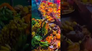 Chhath Puja coming soonBhojpuri songviral videoJay chhath Maiya [upl. by Aldredge]