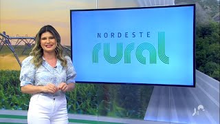 HD Nordeste Rural com apresentação de Biana Alencar  25022024  TV Verdes Mares Cariri [upl. by Jerrie]