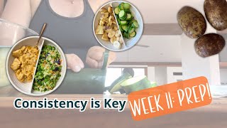 Consistency is Key with Starch Solution Week 11 Prep [upl. by Obidiah]