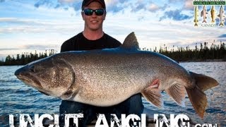 50 POUND LAKE TROUT  Uncut Angling  June 14 2012 [upl. by Eleph]