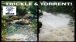 TRICKLE amp TORRENT [upl. by Rillings]