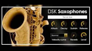 DSK Saxophones VST [upl. by Orgel]