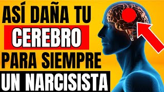 Los DAÑOS CEREBRALES Tras Sufrir ABUSO NARCISISTA  Salud mental y Psicología [upl. by Pitzer60]