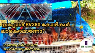 Bv380 കോഴി വളർത്തൽ [upl. by Nessie823]