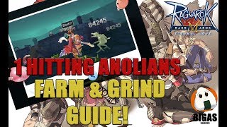 1 Hitting Anolian Guide amp Farming Spot  Ragnarok Mobile  Eternal Love [upl. by Rue]