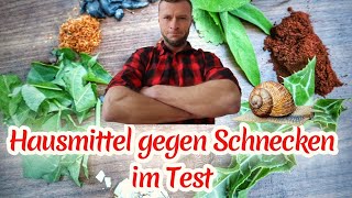 7 Hausmittel gegen Schnecken im Test🐌 [upl. by Cotter]