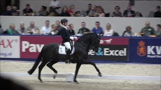 IMPOSANTOS by Wynton  Krack C at the stallion competition sHertogenbosch 2019 [upl. by Brenden94]