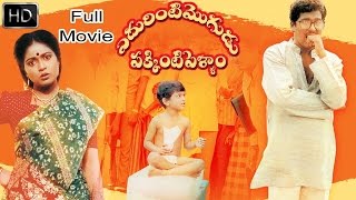 Edurinti Mogudu Pakkinti Pellam Telugu Full Length Comedy Movie  Rajendra Prasad Divyavani [upl. by Oirifrop]