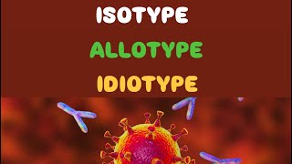 Antigenic Determinants Isotype Allotype and Idiotype [upl. by Ydnamron876]