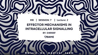 MR S7L2  ReceptorEffector Signaling Via G Proteins II [upl. by Einaffit]