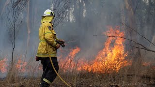 Fears ahead of bushfire season as RFSQ loses 10000 volunteers in four years [upl. by Amme]