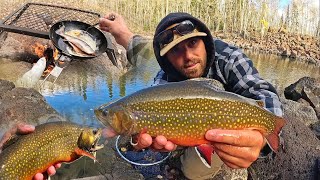 WILD TROUT Fishing at PRISTINE Mountain Lake Catch amp Cook [upl. by Caruso]