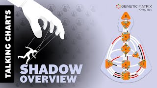 Human Design Shadow Talking Chart Overview [upl. by Dollar]