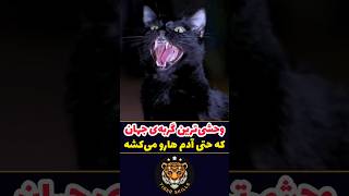 وحشی ترین گربه ی جهان که حتی آدم ها رو هم میکشه فیلم سینمایی خارجی جدید، معرفی بهترین فیلم های کمدی [upl. by Rusell]