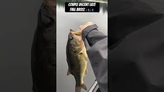 Late fall bassin is so much fun especially when not using livescope bassfishing fishing viral [upl. by Nawk]