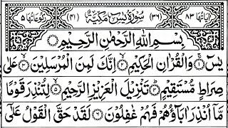 Surah Yaseen  Yasin  Full With Arabic Hd  P 83  Surah Yasen Surat Yasen Sura Yasiin Surah Rahman [upl. by Enoob]