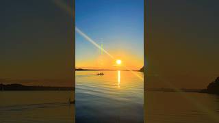 📍Kolding Fjord Denmark 🇩🇰 kolding denmark sunset beautiful youtubeshorts viralvideo dansk [upl. by Susan]