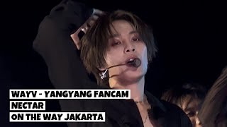 241005  4K  WAYV  NECTAR  YANGYANG FANCAM FOCUS  ON THE WAY TOUR IN JAKARTA [upl. by Oliva]