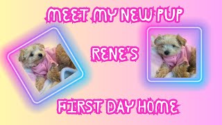 RENES FIRST DAY HOME [upl. by Gilletta]