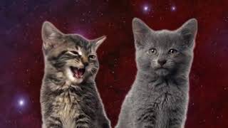 Space Cats [upl. by Chandal]