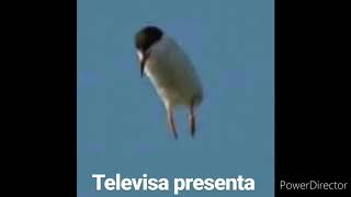 Televisa presentaMeme [upl. by Coralyn]