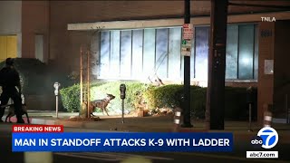 Suspect attacks LAPD K9 with ladder during hourslong standoff [upl. by Yetah]