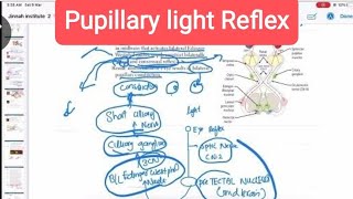 Pupillary light Reflex opthalmology 24  First Aid USMLE Step 1 in UrduHindi [upl. by Glory936]