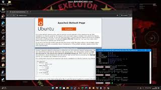 EXECUTOR C2 API [upl. by Wahl261]