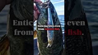 Pointer 128SP  The Winning Lure You Need for More Catches【04 05 06 07 09 10 11】 [upl. by Lyons846]