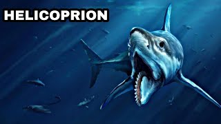 Helicoprion  El tiburón prehistórico con mandíbula de Sierra [upl. by Iolanthe]