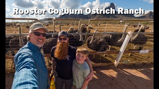 Visiting Rooster Cogburn Ostrich Ranch in Arizona [upl. by Eesac]