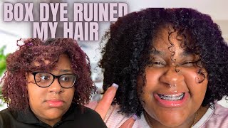 IMPULSIVELY DYING MY BLEACHED HAIR BACK TO BLACK WITH BOX DYE I ruined my hair  LIFE UPDATE [upl. by Broek]