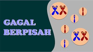 Gagal Berpisah Meiosis I Non Disjunction I BAB POLA HEREDITAS [upl. by Lancey705]