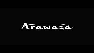 Arawaza Onyx Zero Gravity  WORLD KARATE FEDERATION [upl. by Rabaj]