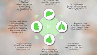 ReninAngiotensinAldosteronSystem Blutdruckregulation [upl. by Tisdale565]