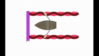 Actin and Myosin Action [upl. by Chafee]