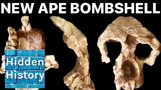 New ancient ape from Turkey challenges ‘Out of Africa’ theory of human origins [upl. by Setarcos]