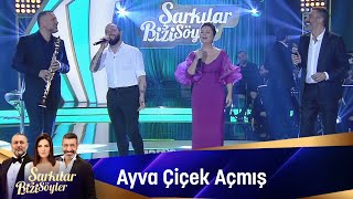 Sibel Can amp Hakan Altun amp Hüsnü Şenlendirici amp Berkay  Ayva Çiçek Açmış [upl. by Mcquillin]