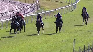 CLIMACTIC TRIALS AT MURWILLUMBAH [upl. by Hulton]